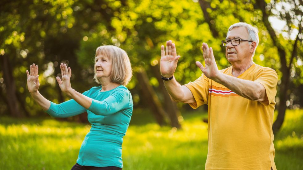 tai chi at kew